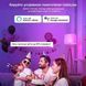 Розумна лампочка Tuya Smart LED WiFi Смарт Лампа E27 RGB Color 2700K-6500K 9W sp10010 фото 5