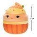 М'яка іграшка Капкейк Кейша Squishmallows SQER00813, 13 см SQER00813 фото 2
