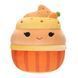 М'яка іграшка Капкейк Кейша Squishmallows SQER00813, 13 см SQER00813 фото 1