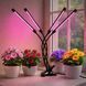 Світлодіодна фітолампа Grow Light для вирощування рослин, розсади Повний спектр 4 голови 2019085 фото 1