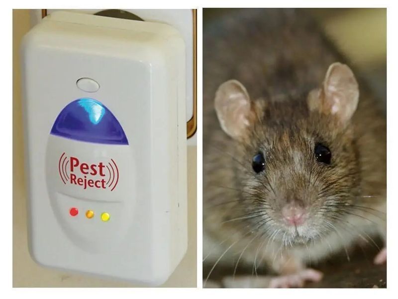 Засіб для знищення гризунів та комах Pest Reject 8011533 фото