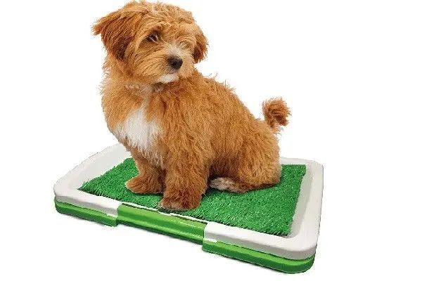 Туалет для собак Puppy Potty Pad MH-872 8012254744 фото