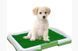 Туалет для собак Puppy Potty Pad MH-872 8012254744 фото 2