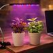 Світлодіодна фітолампа Grow Light для вирощування рослин, розсади Повний спектр 1 голова 2019086 фото 1