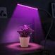 Світлодіодна фітолампа Grow Light для вирощування рослин, розсади Повний спектр 1 голова 2019086 фото 3
