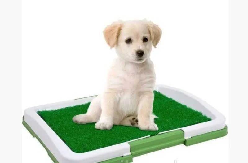 Туалет для собак Puppy Potty Pad MH-872 8012254744 фото