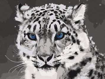 Картина за номерами. Art Craft "Синьоокий ірбіс" 40 * 50 см 11609-AC 11609-AC фото