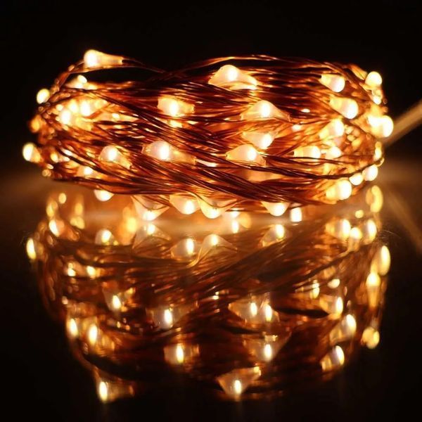 Новорічні гірлянди. Мідна дротяна лампа 100LED 10м, Теплий 9225885220199 фото