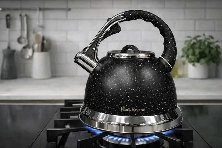 Чайник із гранітним покриттям зі свистком Haus Roland HR 704-5 3,5 л із нержавіючої сталі Чорний Z7787447/1 фото